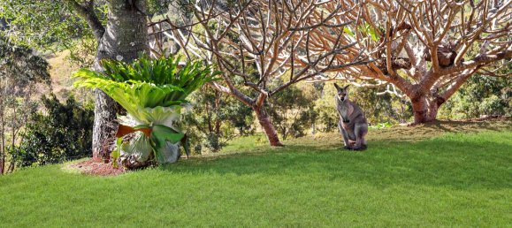 3 bedrooms Farm in Smiths Creek, Australia No. 491 17