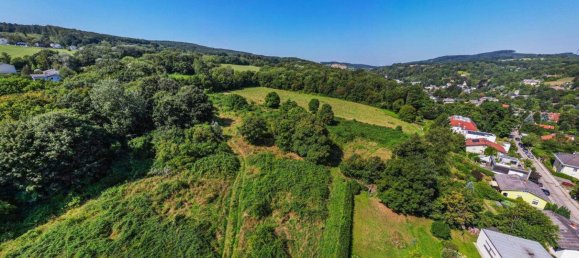  Land in Mauerbach, Austria No. 245504 5