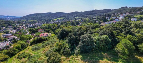  Land in Mauerbach, Austria No. 245504 6