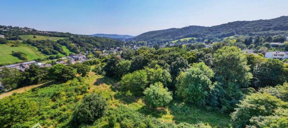  Land in Mauerbach, Austria No. 245504 7