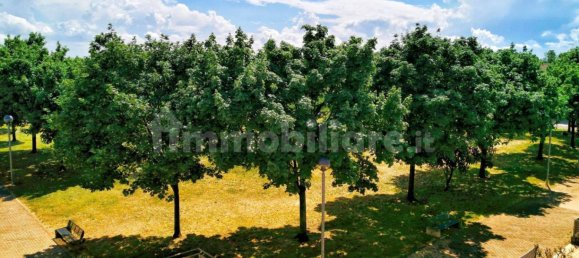 Ático de 3 dormitorios en Castello di Godego, Italy No. 347167 5