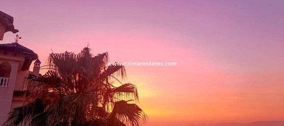 3 bedrooms Villa in Algorfa, Spain No. 159938 39