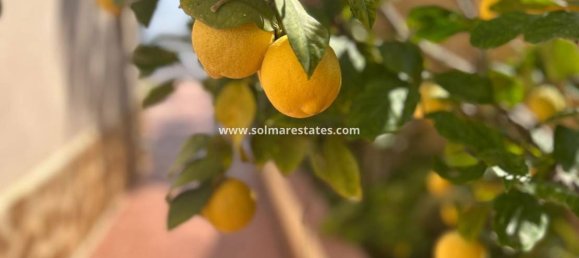 3 bedrooms Villa in Algorfa, Spain No. 159938 22