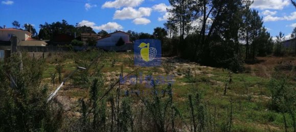 786m² Land in Leiria, Portugal No. 159876 11