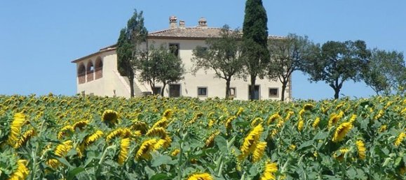 Studio in Cortona, Italy No. 1449 4