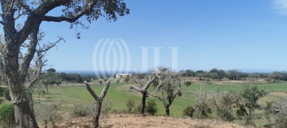 59125m² Land in Grandola, Portugal No. 79835 2
