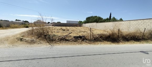 102600m² Land in Cadiz, Spain No. 142884 5