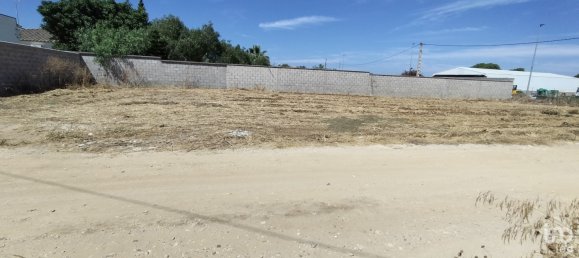 102600m² Land in Cadiz, Spain No. 142884 4