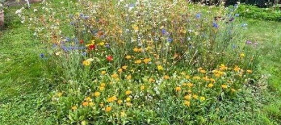 Adosado de 6 habitaciónes en Kassel, Germany No. 19320 18