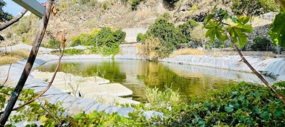 Grundstück in Santa Brigida, Spain, Nr. 71069 19