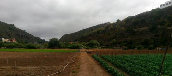 Grundstück in Santa Brigida, Spain, Nr. 71069 12