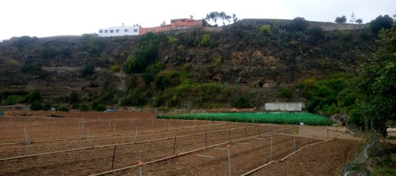 Grundstück in Santa Brigida, Spain, Nr. 71069 13