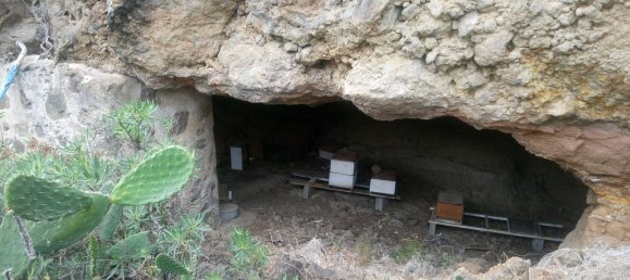 Grundstück in Santa Brigida, Spain, Nr. 71069 18