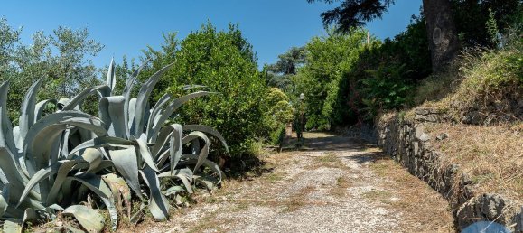 8 rooms Villa in Marino, Italy No. 258007 16