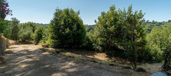 8 rooms Villa in Marino, Italy No. 258007 18