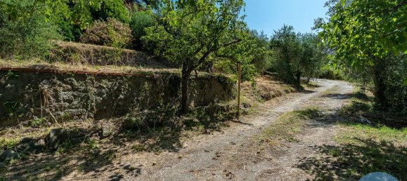 8 rooms Villa in Marino, Italy No. 258007 15