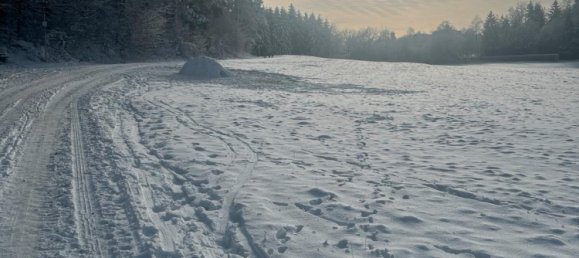 5 chambres Maison de ville à Calw, Germany No. 296272 4