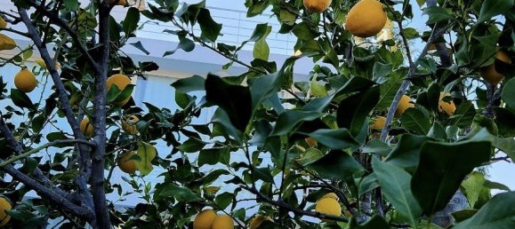 Villa 4+1 in Serik, Turkey No. 34190 10