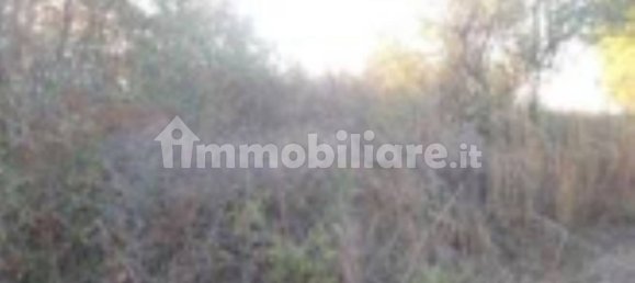 1 bedroom Apartment in San Giovanni Teatino, Italy No. 307739 11