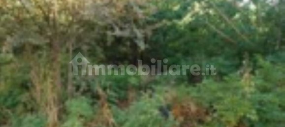 1 bedroom Apartment in San Giovanni Teatino, Italy No. 307739 8