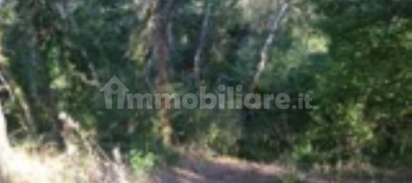 1 bedroom Apartment in San Giovanni Teatino, Italy No. 307739 10