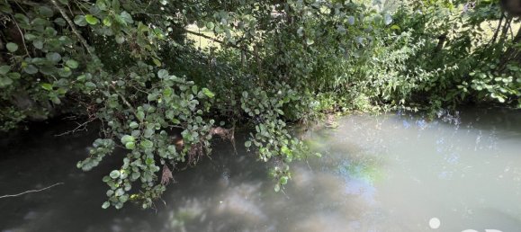 4 bedrooms House in Courtenay, France No. 254069 12