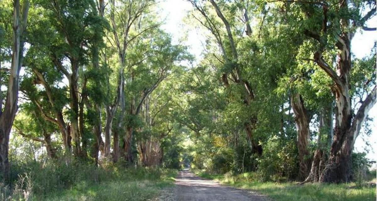  Land in Buenos Aires, Argentina No. 121278