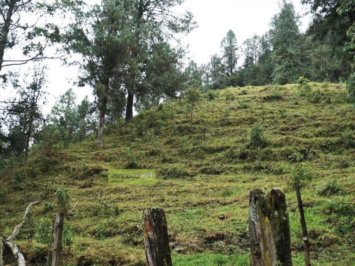 Земельный участок в Антьокия, Колумбия № 570