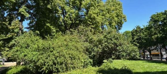 2 غرف نوم شقة في Leipzig, Germany رقم 63210 19