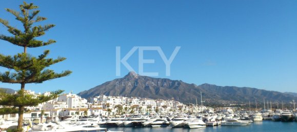 3 غرف نوم بانتهاوس في Marbella, Spain رقم 117056 35