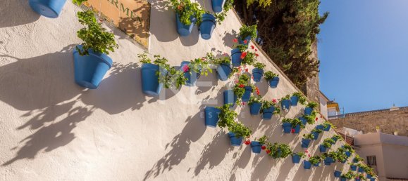 3 غرف نوم بانتهاوس في Marbella, Spain رقم 117056 27