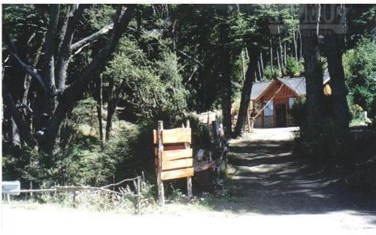 Terrain à Neuquen, Argentina No. 31715