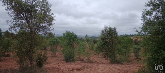  Land in Santiago do Cacem, Portugal No. 89752 3