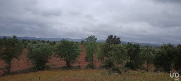  Land in Santiago do Cacem, Portugal No. 89752 5