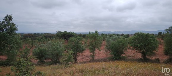  Land in Santiago do Cacem, Portugal No. 89752 6
