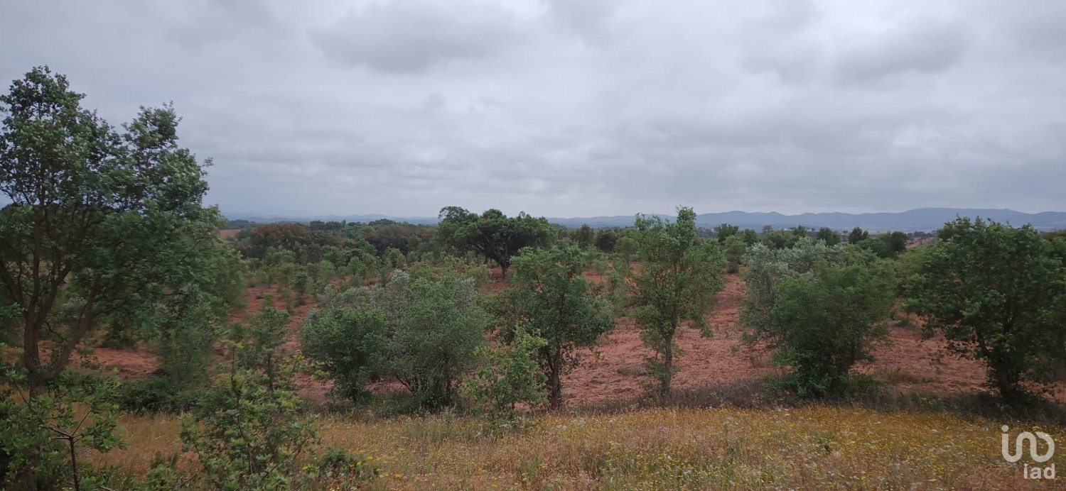  Land in Santiago do Cacem, Portugal No. 89752