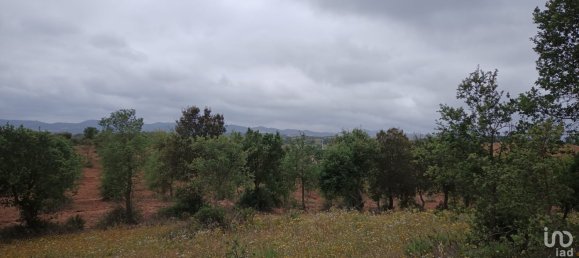  Land in Santiago do Cacem, Portugal No. 89752 4