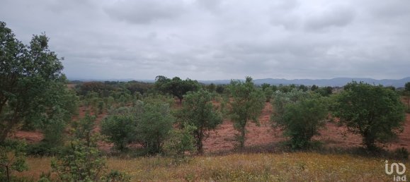  Land in Santiago do Cacem, Portugal No. 89752 7