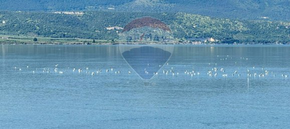 3 bedrooms Villa in Ischitella, Italy No. 113406 32