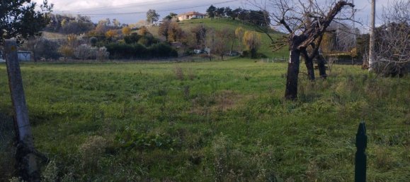 3 Schlafzimmer Villa in Pesaro, Italy, Nr. 329959 4