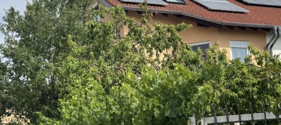 4 bedrooms Townhouse in Alzey-Worms, Germany No. 218020 2