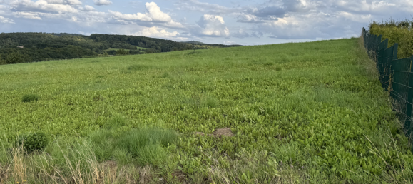 3 bedrooms Bungalow in Holzminden, Germany No. 346670 4