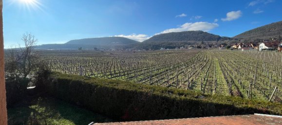 Дом с 5 спальнями в Кольмар, Франция № 214801 17