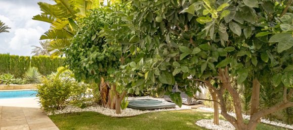 6 bedrooms House in La Zenia, Spain No. 166095 43