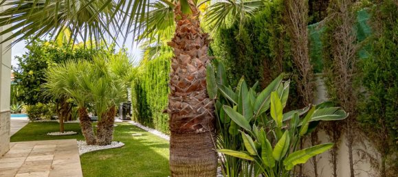 6 bedrooms House in La Zenia, Spain No. 166095 62