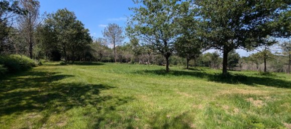 6 bedrooms Villa in Camors, France No. 308705 7