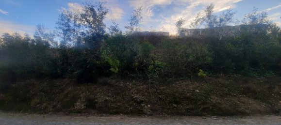 Grundstück in Vila do Conde, Portugal 750m², Nr. 42681 7