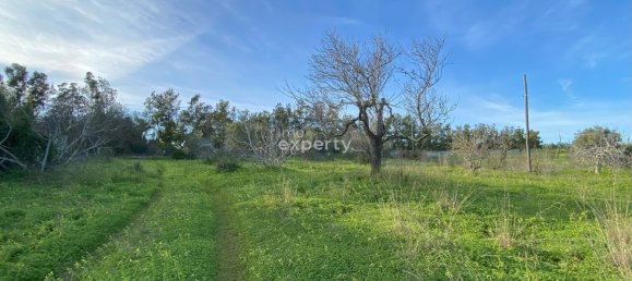 4 bedrooms Land in Tavira, Portugal No. 111006 9
