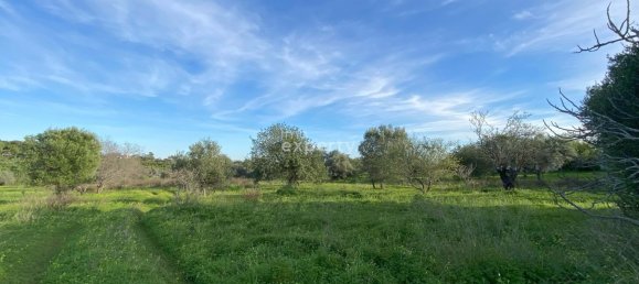 4 bedrooms Land in Tavira, Portugal No. 111006 6