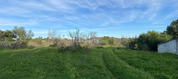 4 bedrooms Land in Tavira, Portugal No. 111006 7